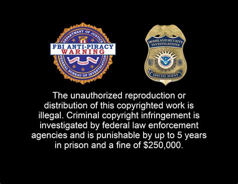 anti piracy companies.